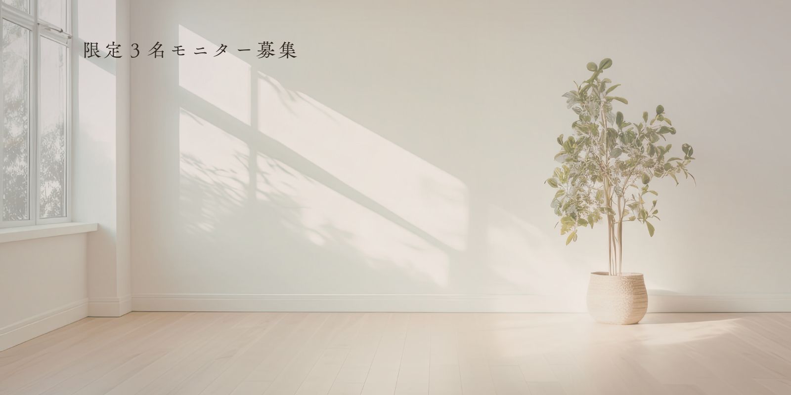 光が差し込む白い部屋と観葉植物