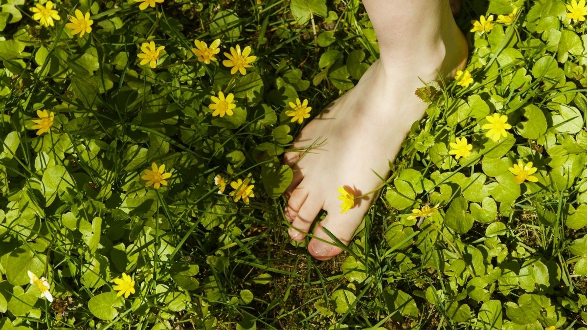 草原に咲く黄色い花の中に素足を置いている様子。下部には「触れるだけで変わるって本当？」という文字が入ったアイキャッチ画像。